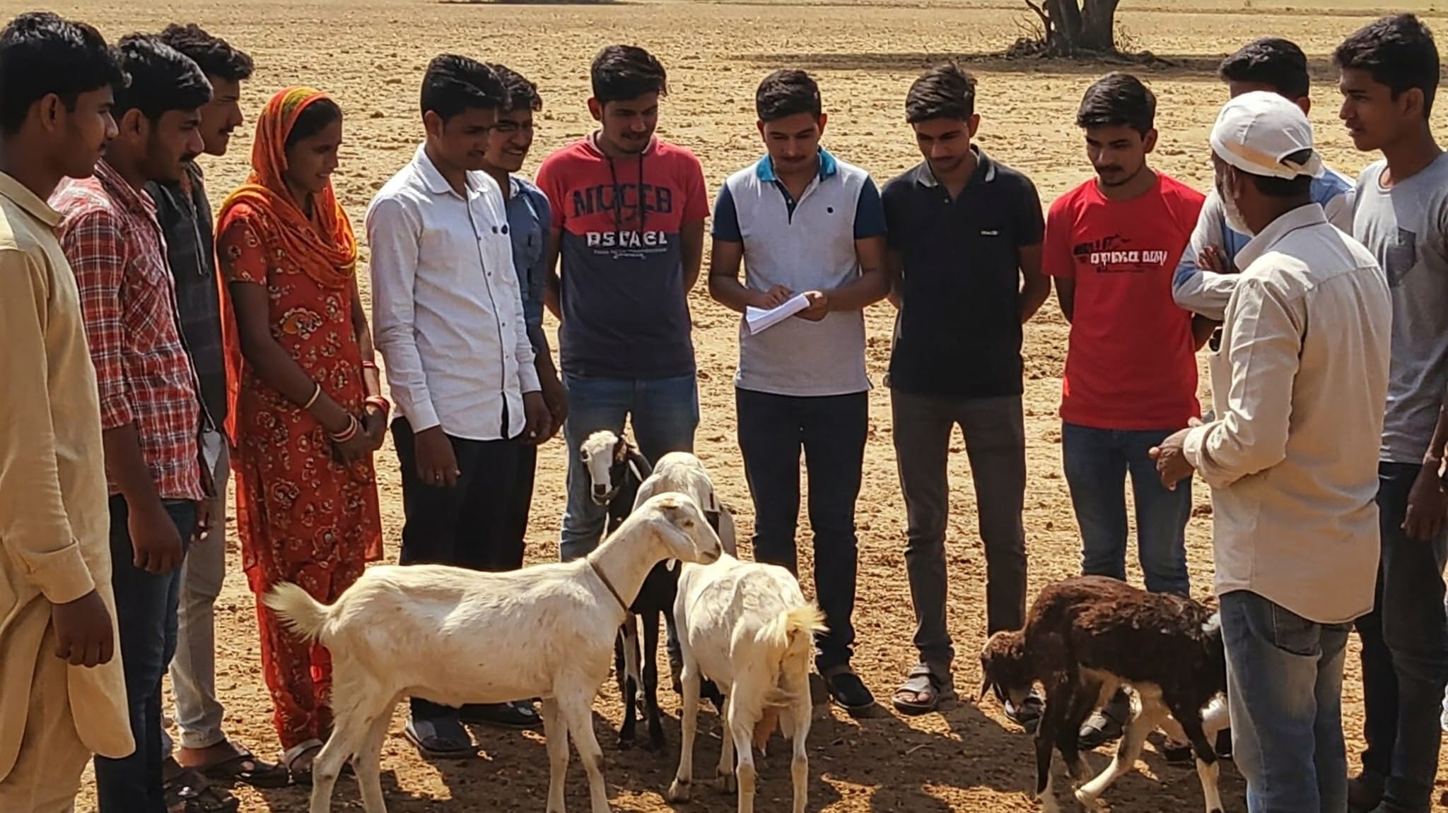 Bakri Palan Training Dungarpur: केवीके फलोज पर 5 दिवसीय बकरी पालन प्रशिक्षण 15 मई से